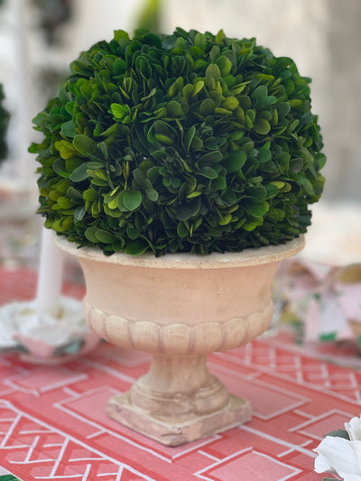 Classic Urn with Preserved Boxwood