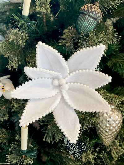 Christmas Poinsettia - Winter White