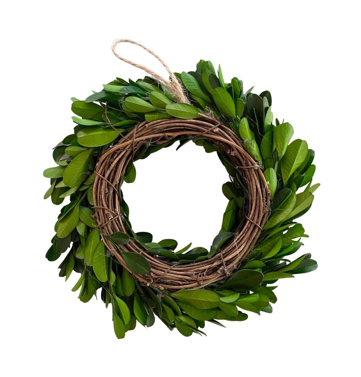 Preserved Boxwood Mini Wreath 'RE-STOCK DUE EARLY MARCH'