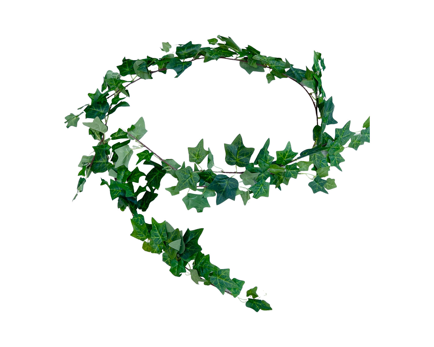 'Call me Ivy' 1.8M Ivy Garland