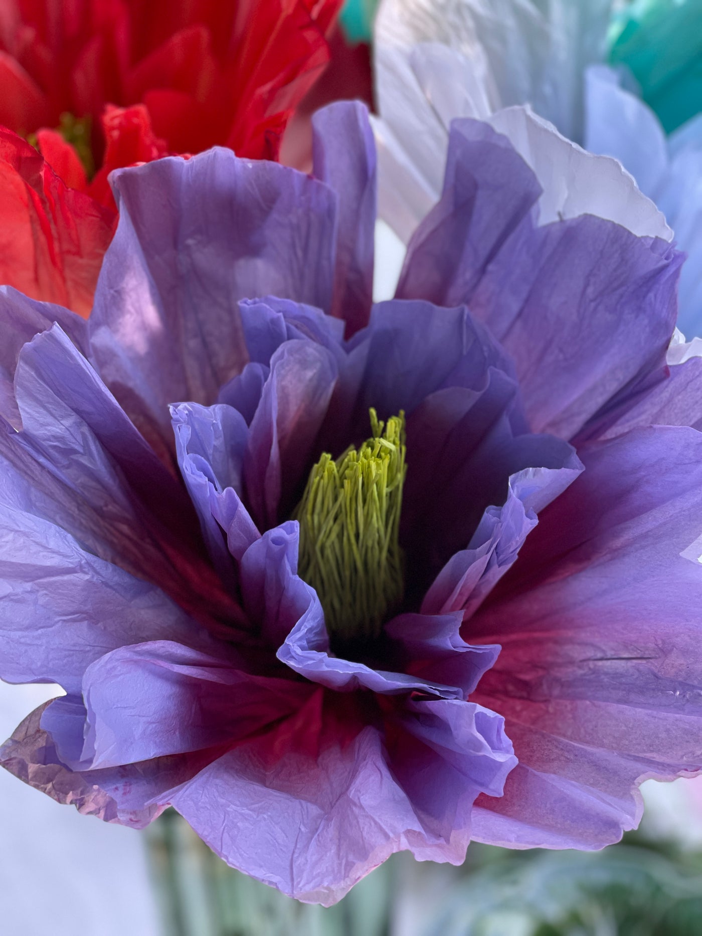 Giant Paper Flower - Purple/Lilac