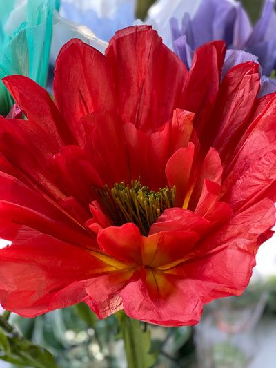 Giant Paper Flower - Orange/Red