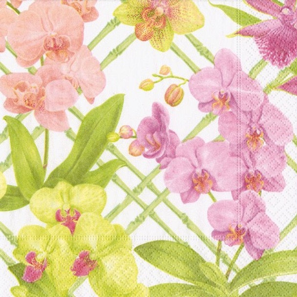 Caspari Paper Napkins - 'Orchid Conservatory' - Luncheon Size, Pack of 20 Napkins
