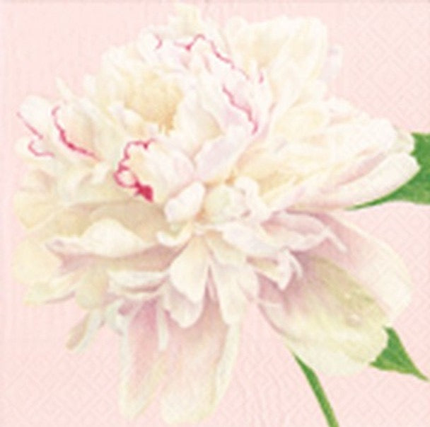 Caspari Paper Napkins - Duchess Peonies - Luncheon Size 20 Pack