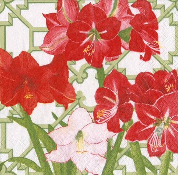 Caspari Paper Napkins - 'Amaryllis Conservatory' - Luncheon Size, Pack of 20 Napkins