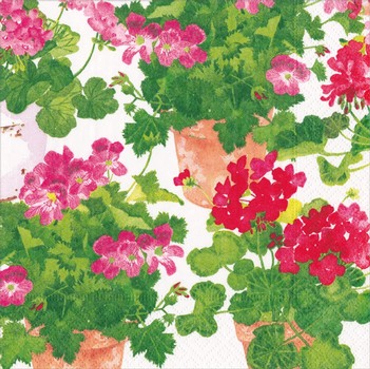 Caspari Paper Napkins - 'Trailing Geranium' - Luncheon or Cocktail Size