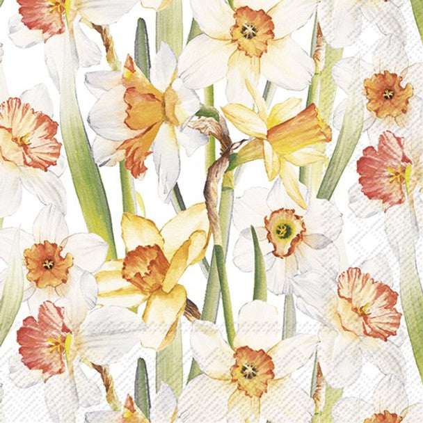 Paper Napkins - Daffodil Joy - Luncheon Size 20 Pack