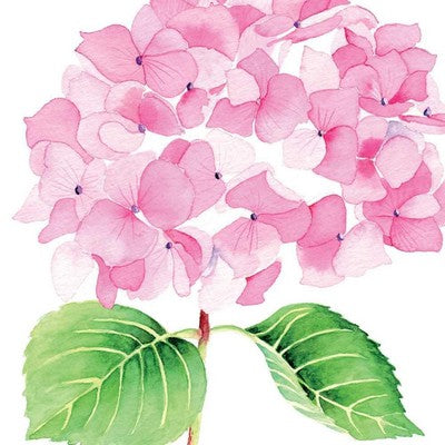 Paper Napkins - Hydrangea White - Luncheon Size 20 Pack